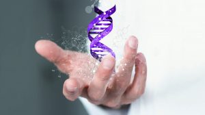 adatbázis DNS-teszt dr. egyed balázs egyetemi oktató földrajzi régiók gének genetikai történet nemzetiségek népcsoportok otthoni teszt populációgenetikus szakértő ványik dóra