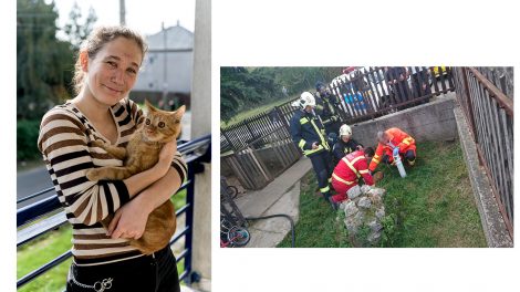 b. molnár márk életmentés gödöllői lánglovagok kövesi tibor közművek légzőkészülék lengyel roxána luká macska macska mentőakció mukics dániel oxigénmaszk szolgálatparancsnok tűz tűzoltóautó tűzoltóőrnagy védőfelszerelés vízszállító