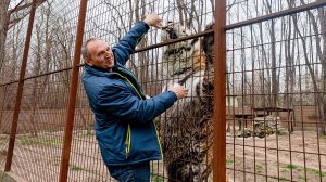 abony állatkert gyógynövények magánállatkert tóth tibor túlélés ványik dóra
