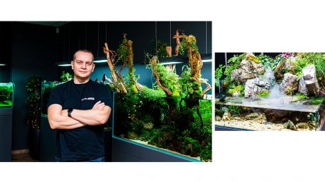 akvakertészet akvarisztikai versenyek akvárium akváriumépítés folyékony tápok halak lantos viktor művészet növények vermes nikolett vízi élővilág vízinövény víztisztaság