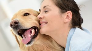 aranyos golden retriever a gazdájával