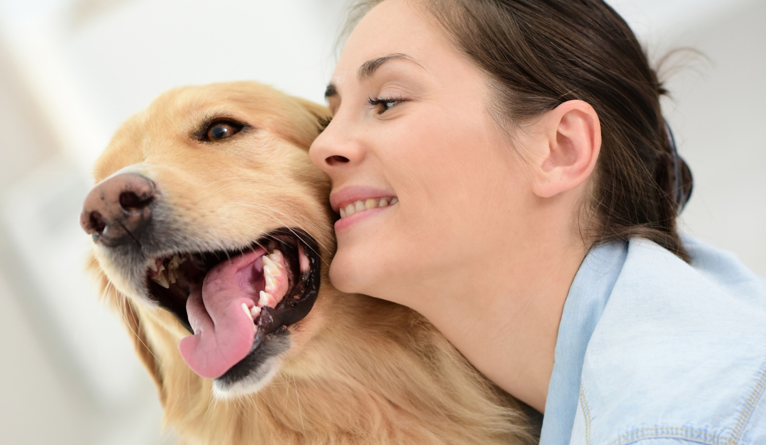 aranyos golden retriever a gazdájával