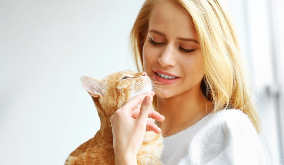 szőke nő vörös macskát simogat