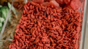 goji-bogyo-termesztese-otthon
