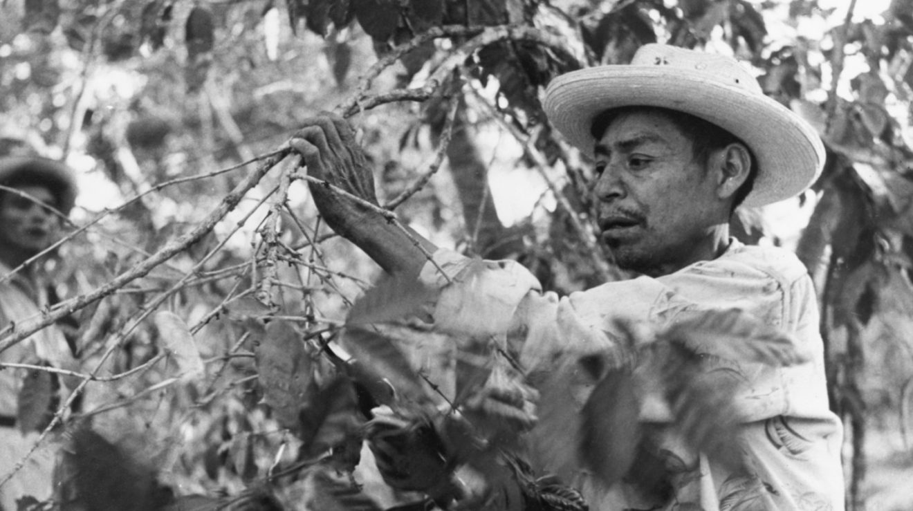 Hidegen s Melegen Is Finom desburgony s spen tos Pite Recept 