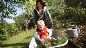 ősz veteményes kerti munkák