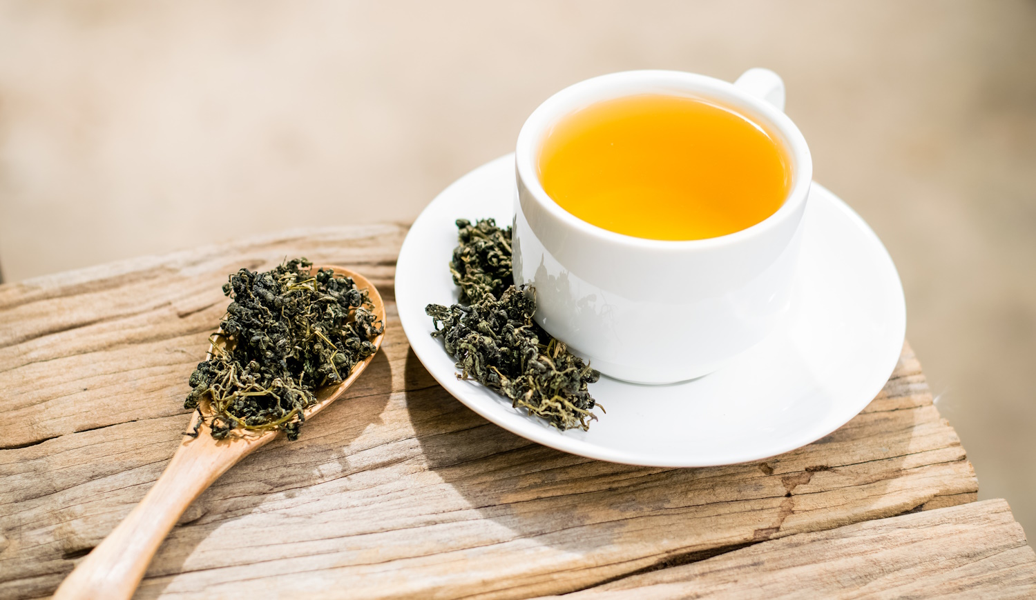 Gynostemma pentaphyllum tea csészében