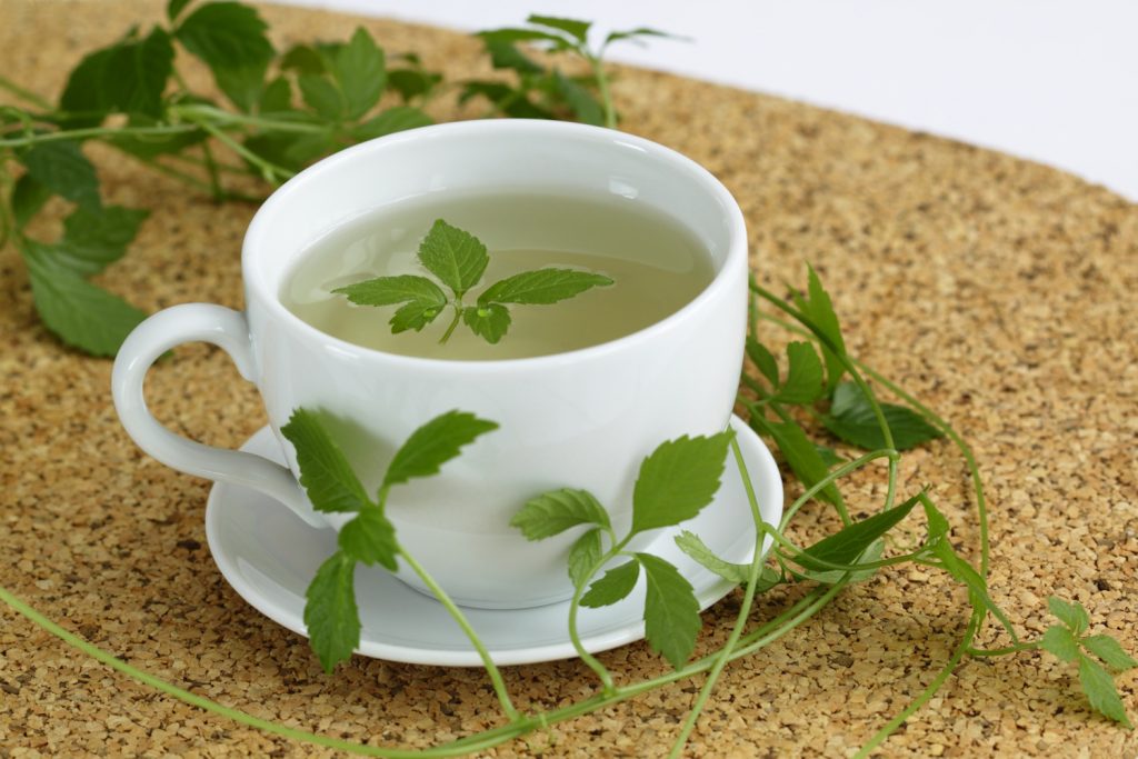 Gynostemma pentaphyllum tea csészében