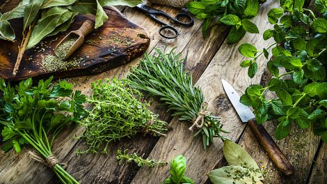 friss fűszernövények csomóba kötve rozmaring oregano bazsalikom babérlevél