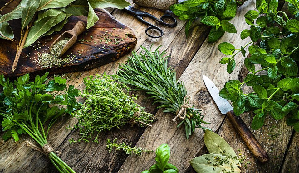 friss fűszernövények csomóba kötve rozmaring oregano bazsalikom babérlevél