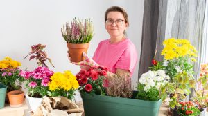 nő őszi növényeket ültet a balkonra