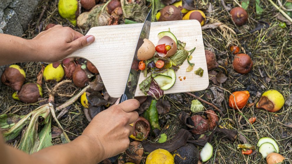 Elhasznál, maradék zöldségeket szór valaki egy komposztos gödörbe