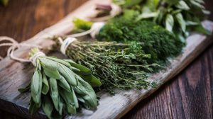 fűszernövények sorban