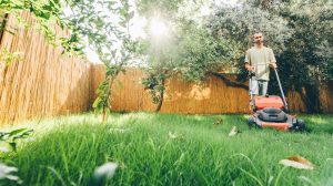 fövet nyír egy férfi ősszel a kertben