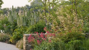 őszi kert sok virággal