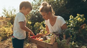 anyuka a kisfiával a veteményesben ősszel