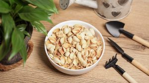 pisztácia héjak a kertben