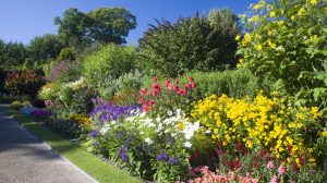 tavaszi kert sok színes virággal