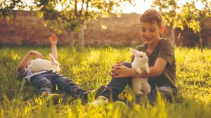 két kisfiú nyuszival játszik a fűben