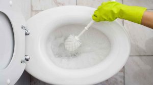 nő gumikesztyűben wc-t sikál