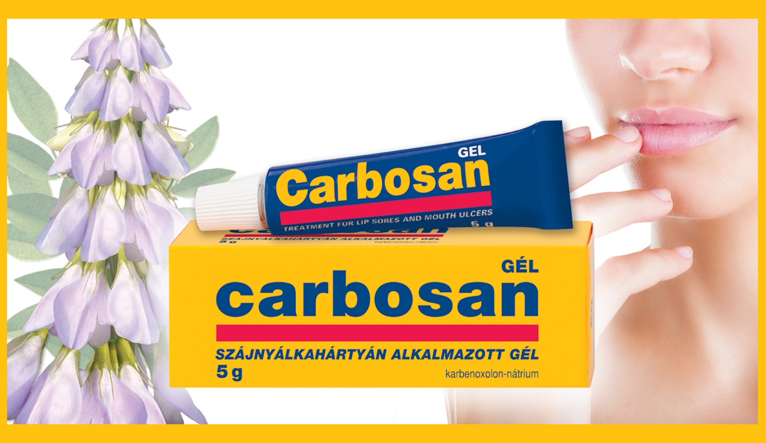 Carbosan
