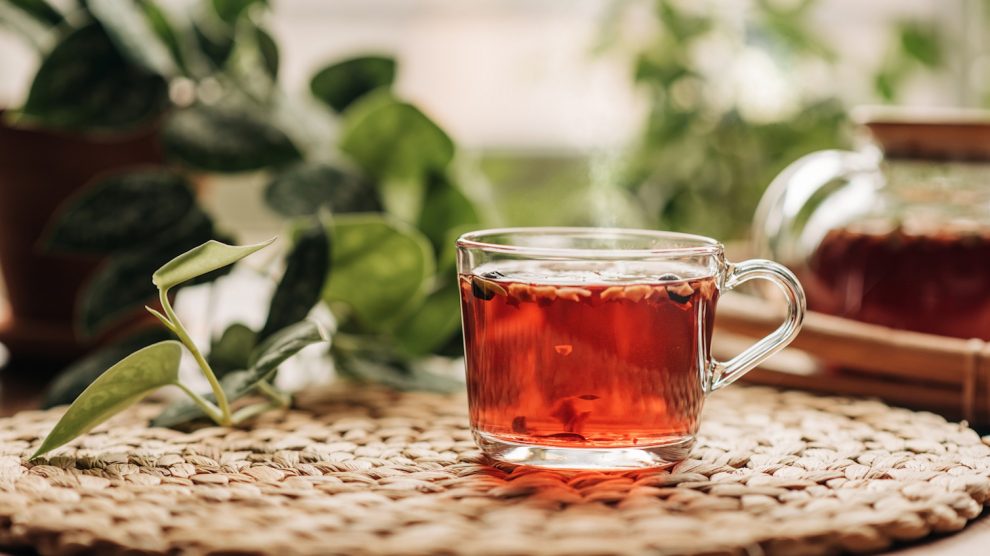 csipkebogyó tea bögrében
