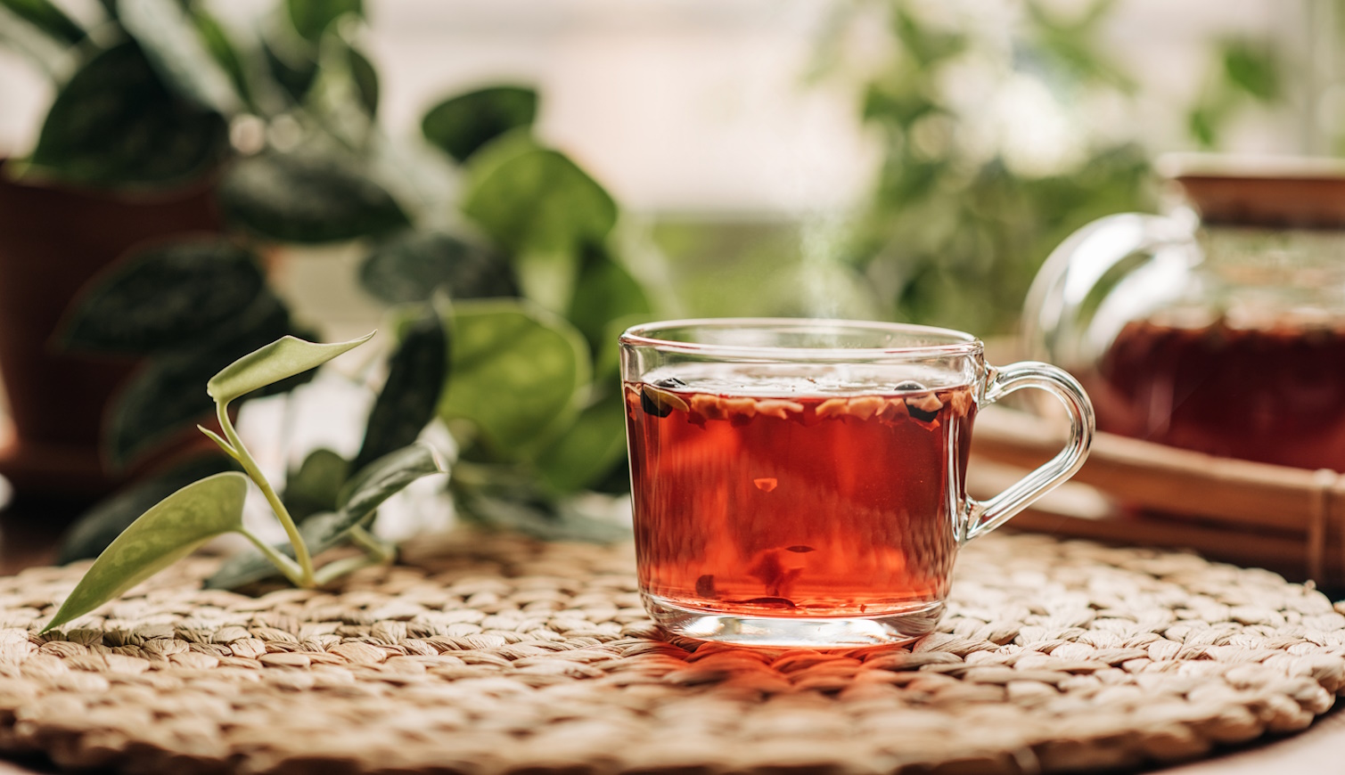 csipkebogyó tea bögrében