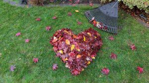 szív alakú levélkupac