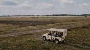 kirándulás a hortobágyon szafari dzsippel