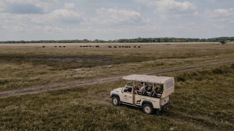 kirándulás a hortobágyon szafari dzsippel