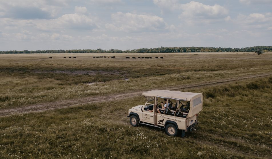 kirándulás a hortobágyon szafari dzsippel