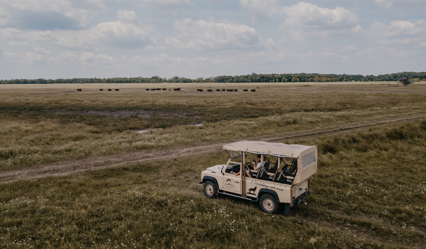 kirándulás a hortobágyon szafari dzsippel