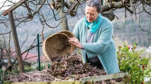 nő a komposztba faleveleket önt