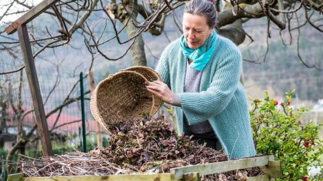 nő a komposztba faleveleket önt