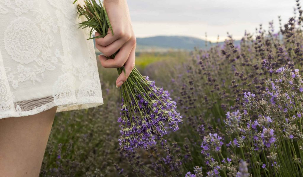 nő levendulamezőn sétál