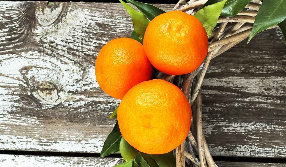 mandarin fa háttérrel