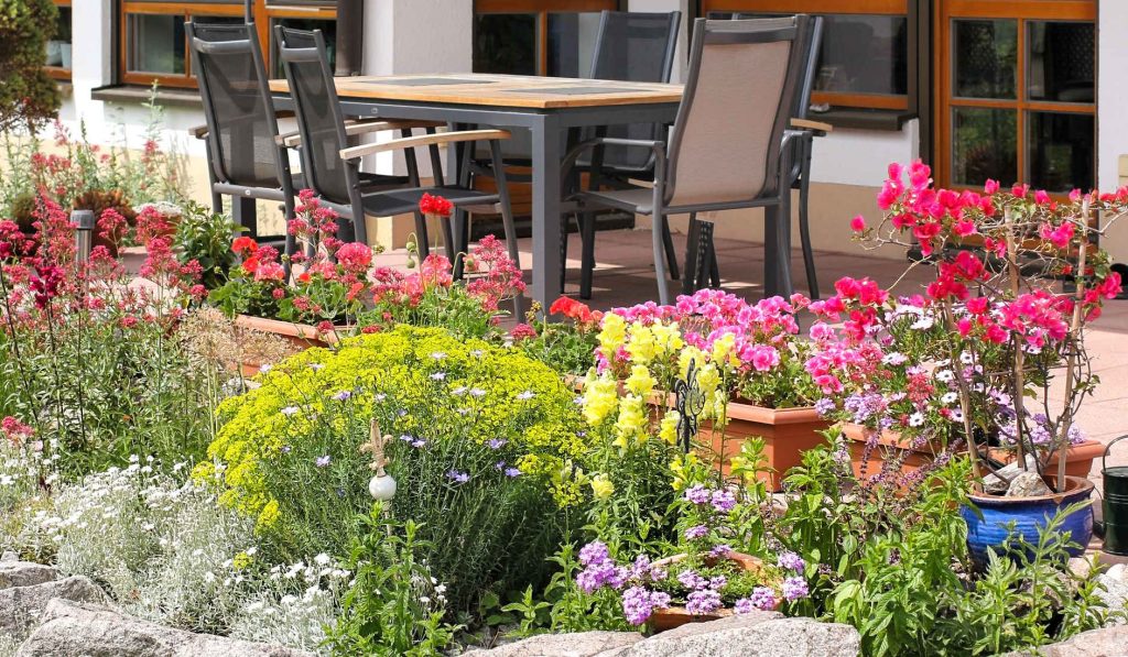 gyönyörű virágos kert színes növényekkel