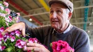 Egy bácsi mesél a muskátlikról