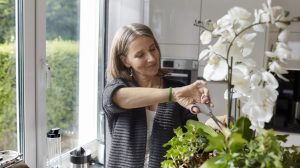 orchideát metsz egy nő a nappaliban