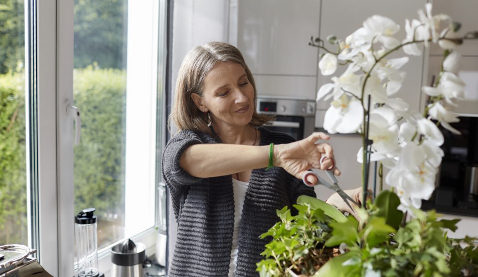 orchideát metsz egy nő a nappaliban