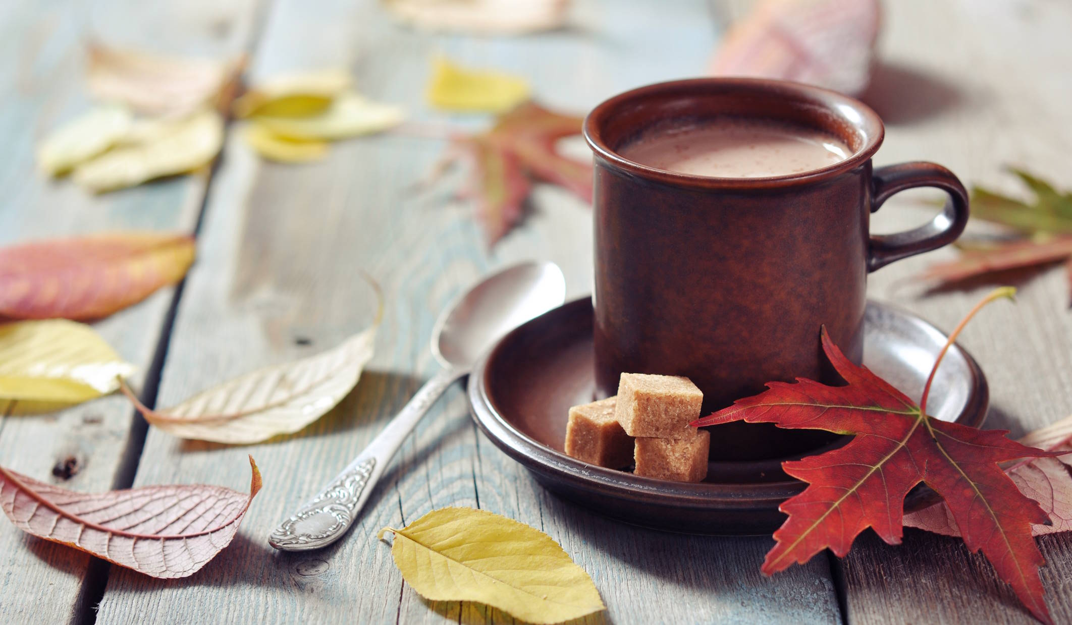 őszies háttérrel pumpkin spice latte