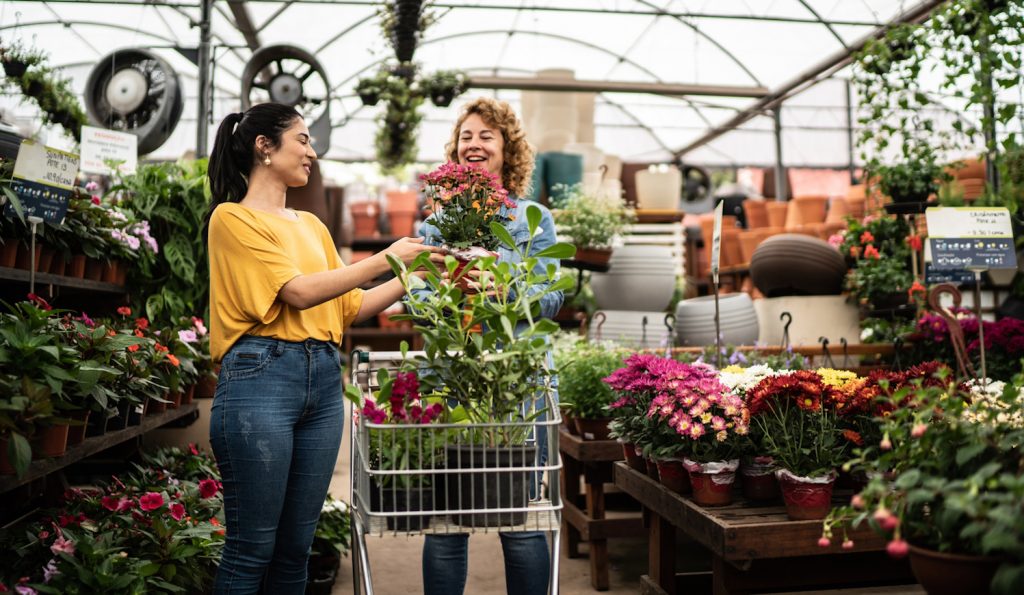 csajok szobanövényeket vásárolnak a kertészetben