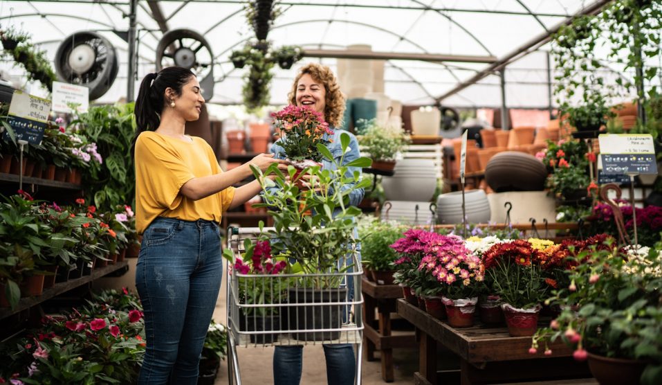 csajok szobanövényeket vásárolnak a kertészetben