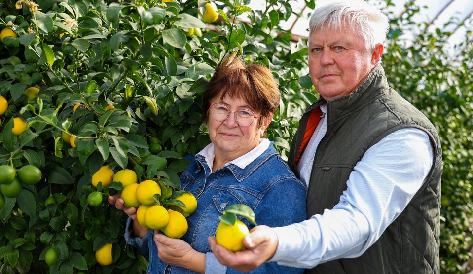 Magyar citromfarm - Szőrösné Kisjuhász Éva és férje