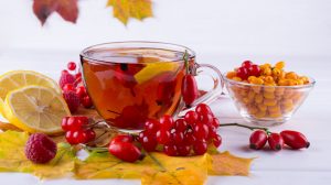 homoktövis és csipkebogyó őszi immunerősítők