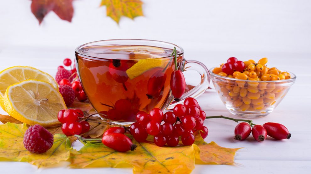 homoktövis és csipkebogyó őszi immunerősítők