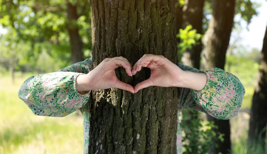 lány óölel egy fát szeretetből kelta fahoroszkóp