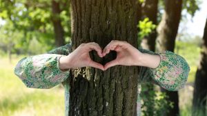 lány óölel egy fát szeretetből kelta fahoroszkóp
