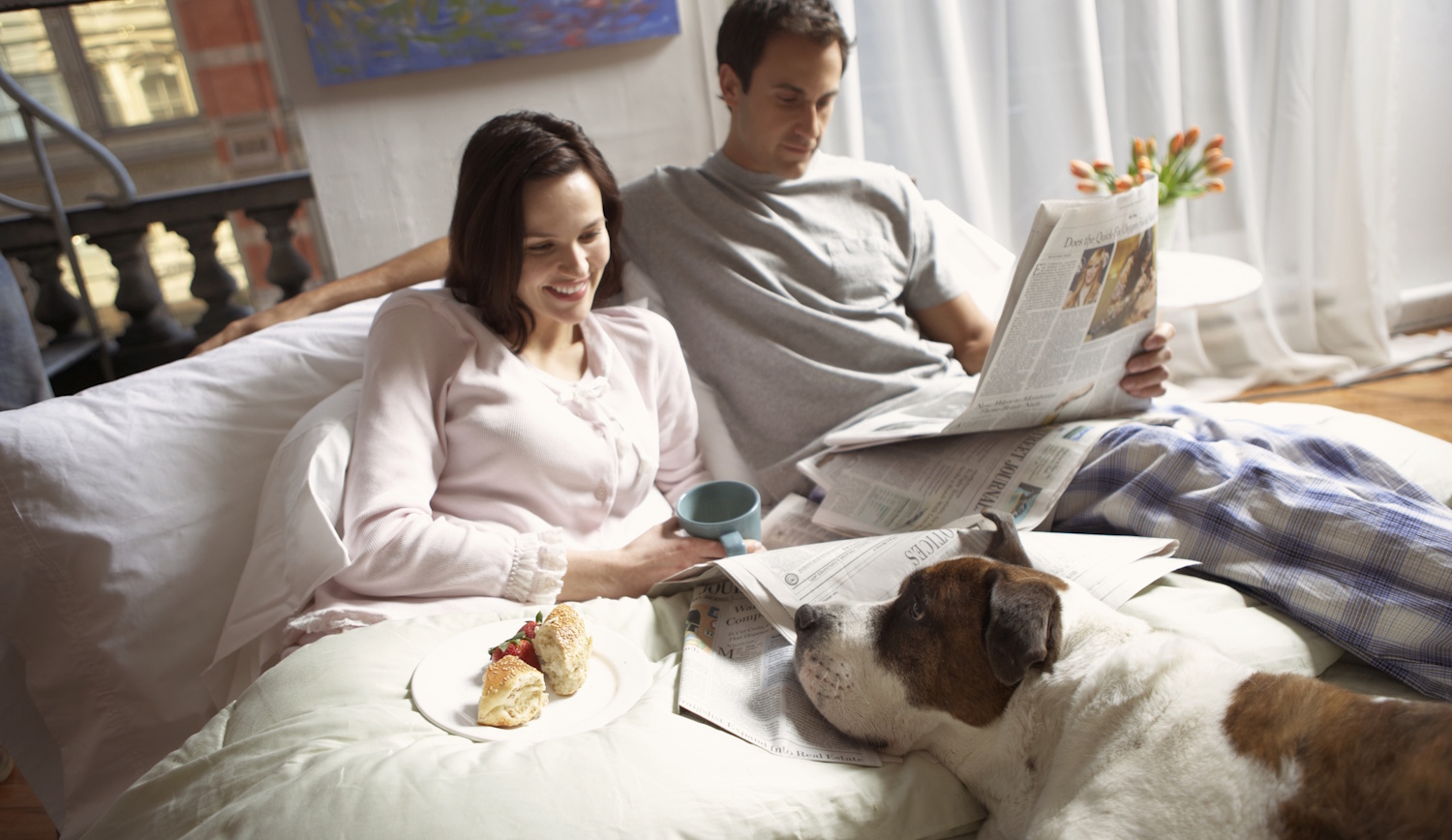 Egy pár fekszik az ágyban, újságot olvasnak, egy kutya pedig a lábuknál fekszik