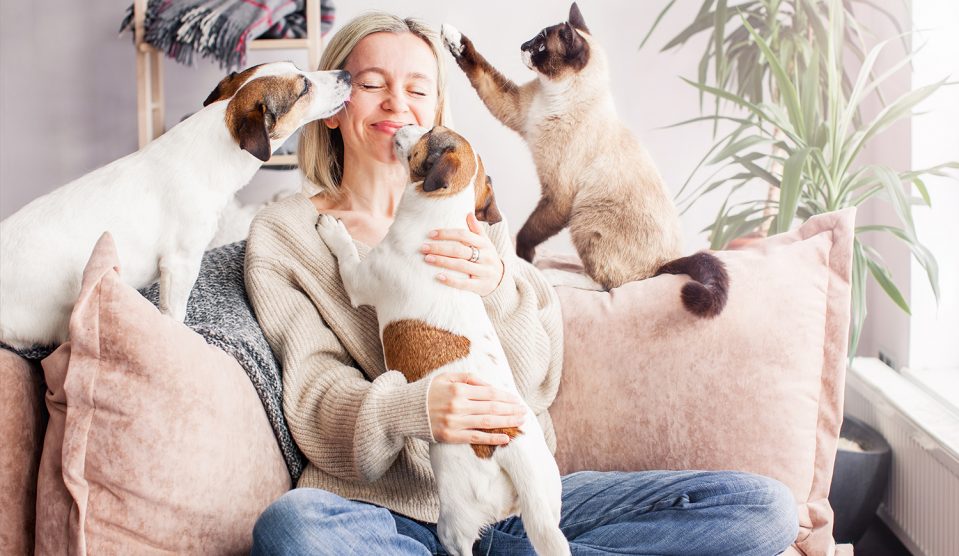 Fiatal nő a kanapén játszik a macskájával és akutyáival